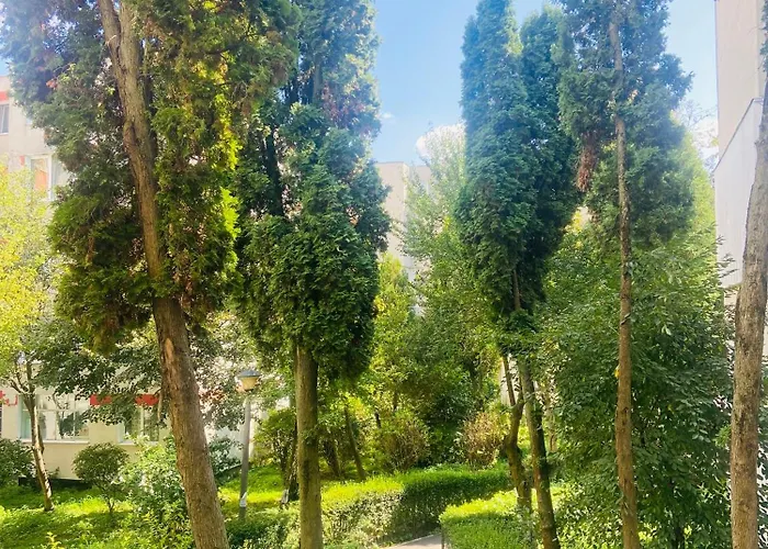 Nono's Apartman Kolozsvár